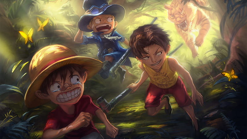 One Piece Luffy Ace Sabo On The Forest A Triger Coming On Back Anime, HD wallpaper