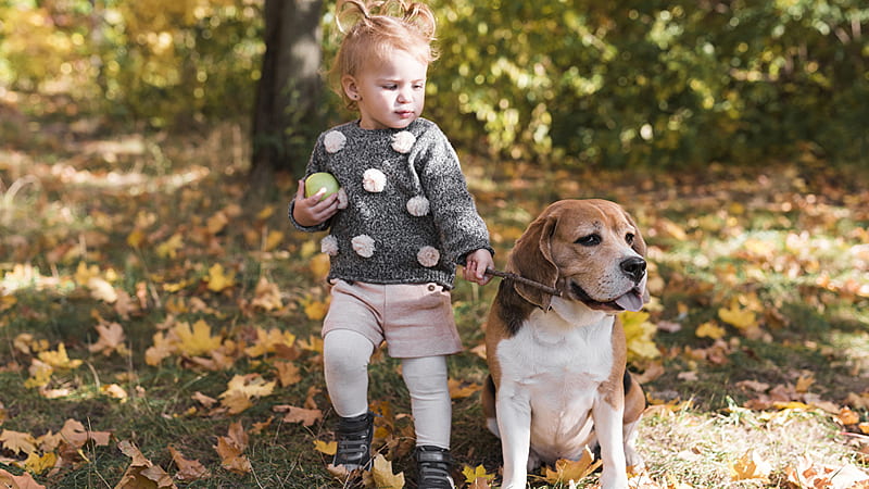 Cute Little Baby Girl Is Standing Near Dog Wearing Black Peach Color Dress In Autumn Trees Bokeh Background Cute, HD wallpaper