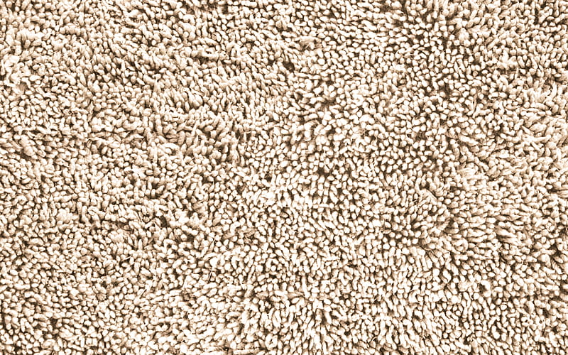 Beige carpet texture, flooring texture, beige carpet background, floor texture, HD wallpaper