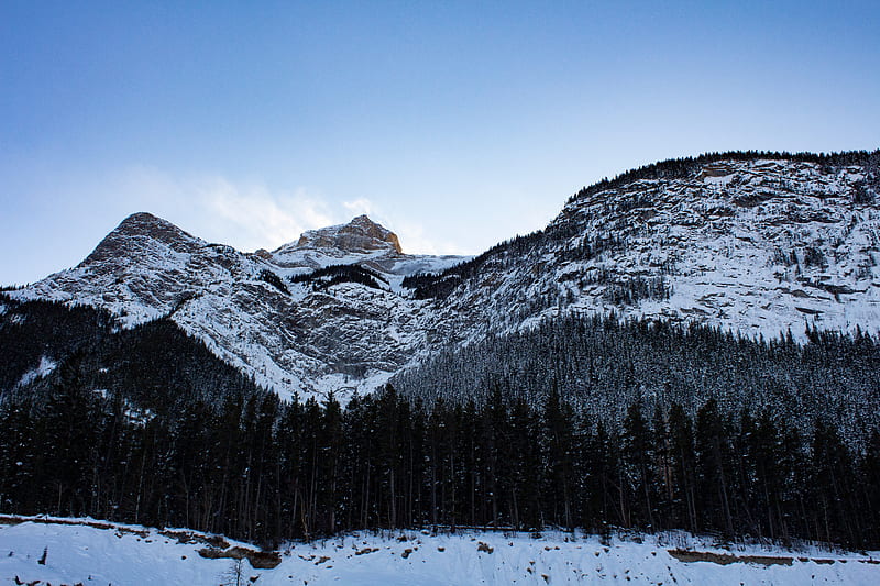 peaks, snowy, forest, trees, HD wallpaper