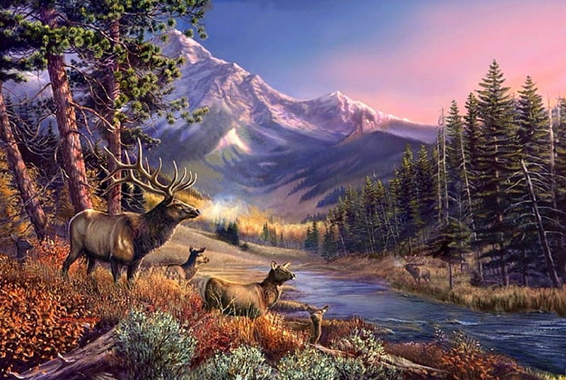 Elk River, draw and paint, elks, love four seasons, attractions in dreams, deer, paintings, mountains, summer, nature, forests, animals, rivers, HD wallpaper