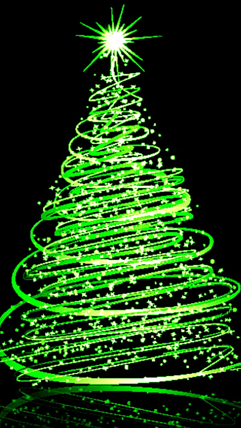 Christmas tree, black, christmas tree, green, holiday, lights, season ...