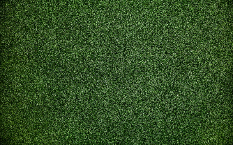 grass texture green grass, green background, HD wallpaper
