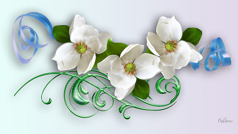 Floral on Gradient, dogwood, Firefox theme, leaves, ribbon, summer, flowers, spring, floral, HD wallpaper
