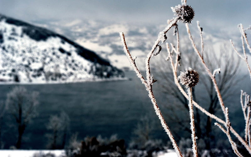 winter wonderland-Winter natural landscape, HD wallpaper