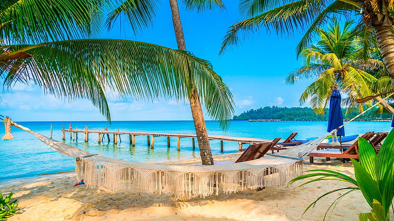 tourism #tropical tropical beach #summer #summertime #sky #lagoon #tree #shore #resort #hammock palm tre. Summer beach , Beach , Tropical beach, HD wallpaper
