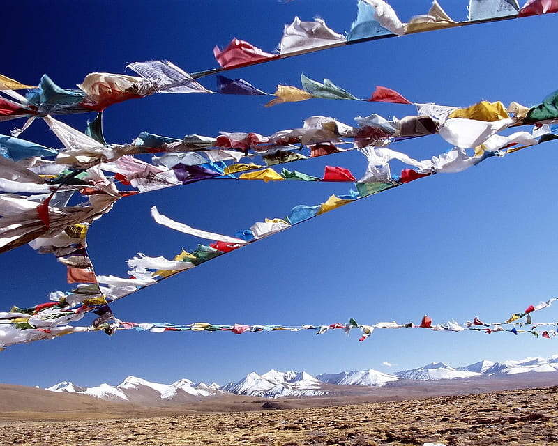 Flags in Tibet, red, breeze, yellow, prayer, flag, desolate, green, symbol,  snow, HD wallpaper | Peakpx
