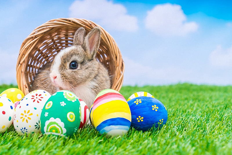 Happy Easter, meadow, basket, rabbit, eggs, colors, sky, HD wallpaper