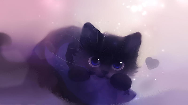 Galaxy Cat, black, cats, HD wallpaper
