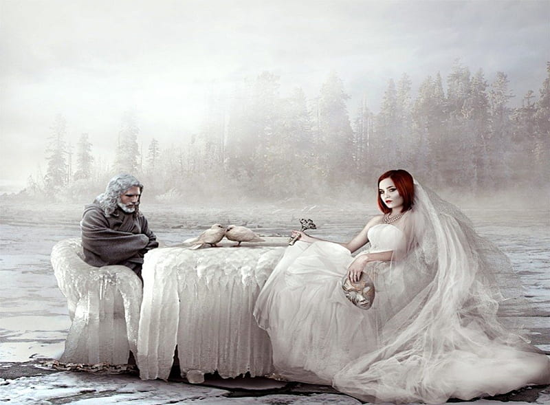 Just Married, table, fantasy, married, gown, love, couple, mist, HD wallpaper