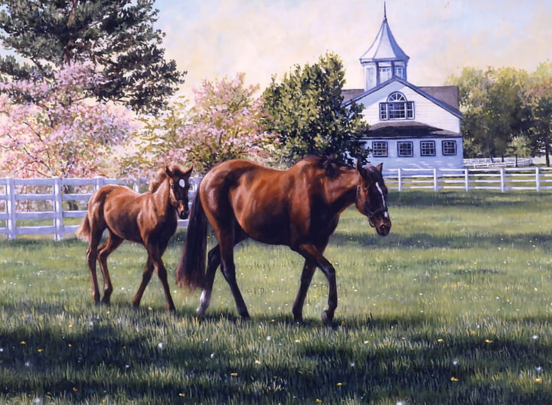 Springtime in Kentucky F, art, colt, Kentucky, thoroughbred, equine, bonito, foal, horse, artwork, animal, painting, wide screen, thorobred, mare, bluegrass, HD wallpaper