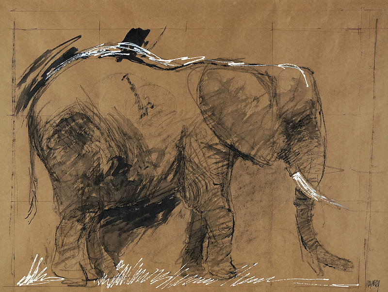 Jeff MacNelly's art, art, ink, jeff macnelly, elephant, animal, ivory, painting, chalk, paper, HD wallpaper