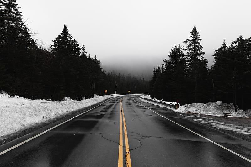 road, fog, turn, snow, overcast, HD wallpaper