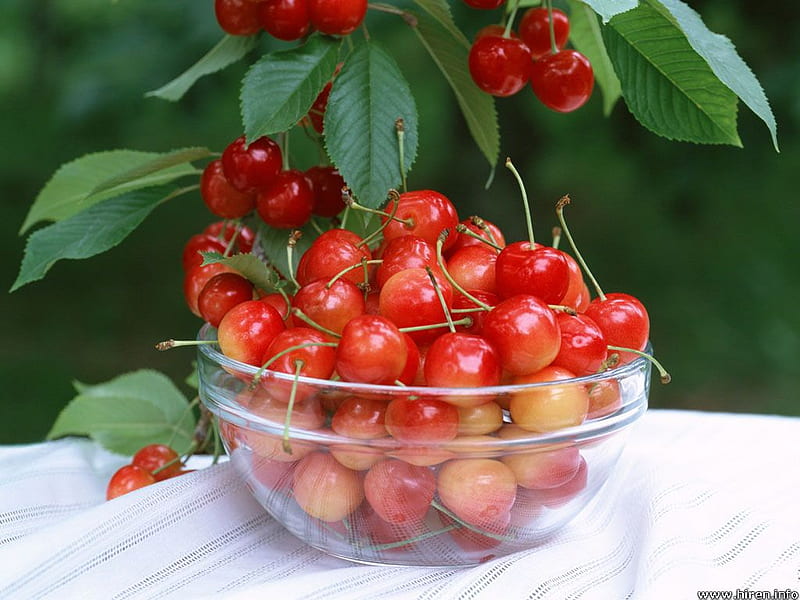 Fresh Cherries, fruit, table, glass bowl, cherries, cherry tree, HD wallpaper
