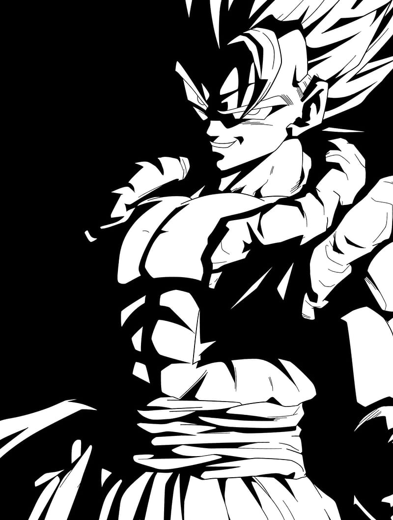 Gogeta, dragon ball, goku y vegeta, HD phone wallpaper | Peakpx