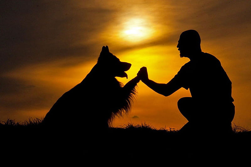 Be my dogfriend!, friend, best, sunset, man, dog, HD wallpaper