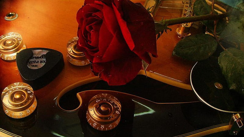 Red rose and guitar, flower, rose, guitar, music, HD wallpaper | Peakpx