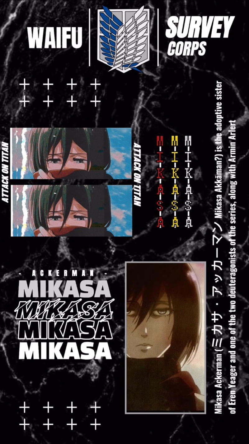 Mikasa AOT, anime, HD phone wallpaper