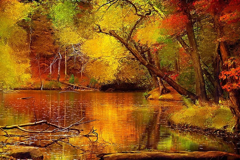 Gold autumn, forest, autumn, gold, river, lake, HD wallpaper | Peakpx