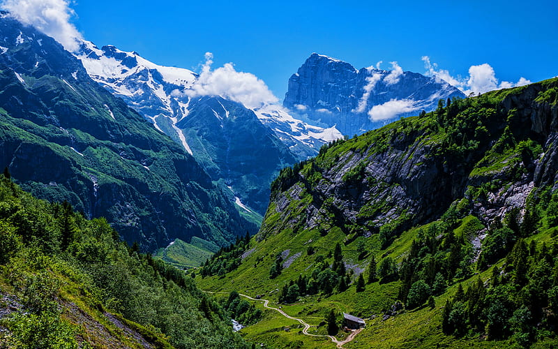 Engelberg Alps, summer, mountains, Switzerland, beautiful nature, Europe, HD wallpaper