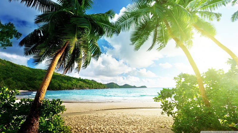 Exotic island, sun, palm, clouds, beach, sand, tropic, light, exotic, ocean, sunlight, sunhine, sky, sew, summer, nature, scene, landscape, coast, HD wallpaper