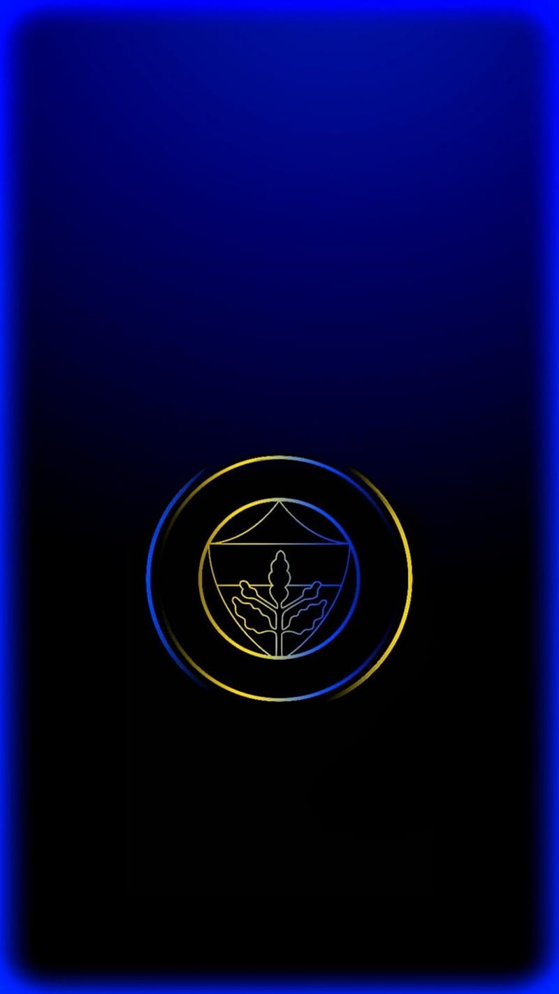 Fenerbahce 2, fb, fenerbahce, logo, HD phone wallpaper
