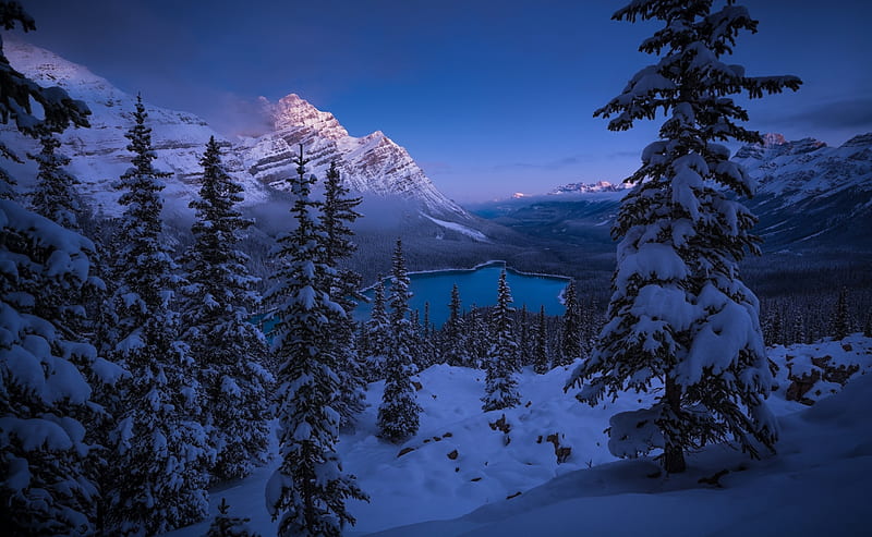 Peyto Lake,Canada, snow, mountains, peyto, nature, trees, lake, winter, canada, HD wallpaper