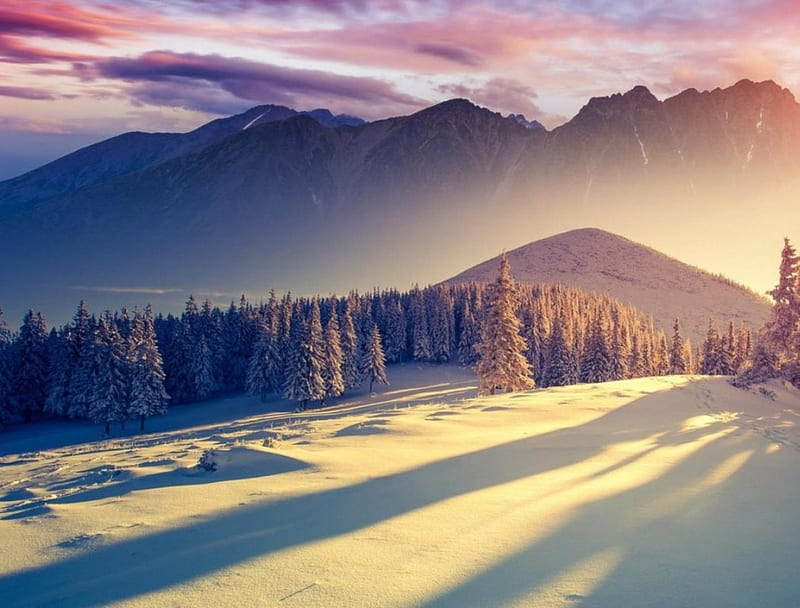 Bình minh vào mùa đông là một kì quan thiên nhiên đẹp tuyệt vời. Hãy tải hình ảnh đầy sức sống này để cảm nhận cảm giác thật đặc biệt mỗi sáng thức giấc.
