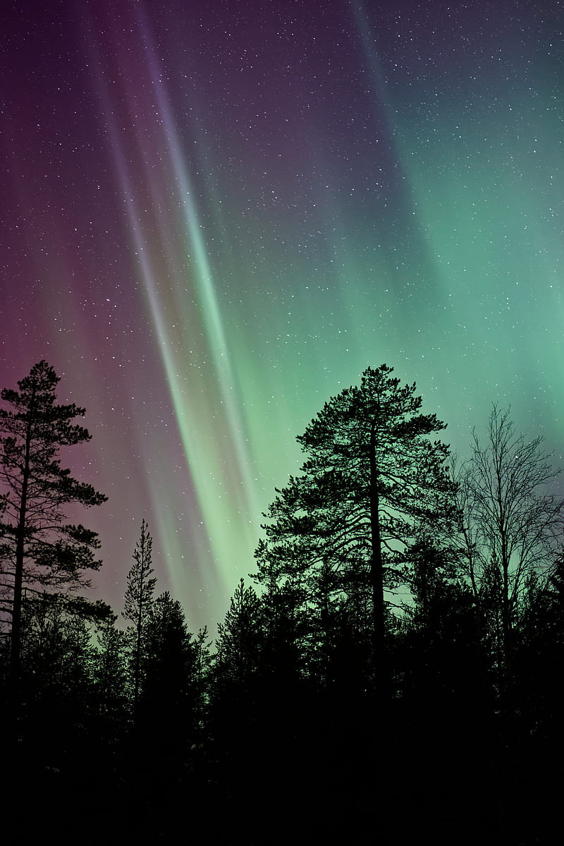 silhouette of aurora borealis, HD phone wallpaper