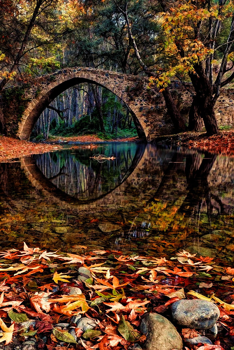 Scenery, bridge, nature pretty, water, HD phone wallpaper | Peakpx