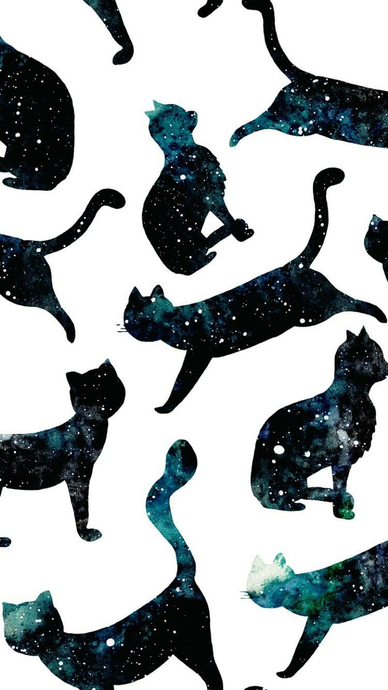 Galaxy cat, cats, galaxy, HD phone wallpaper