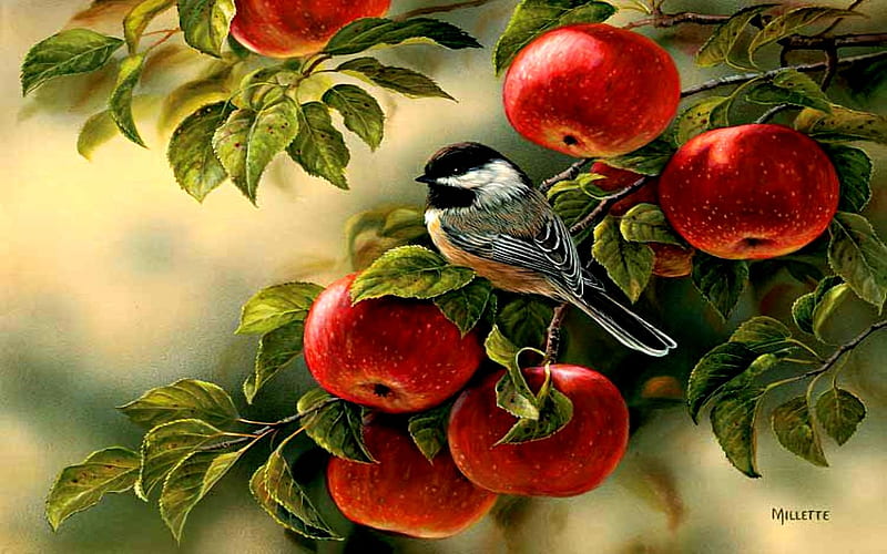Beautiful painting, painting, bonito, bird, apples, HD wallpaper | Peakpx