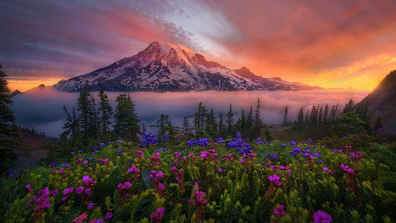 Beautiful Mountains, background, flowers, landscape, nature, nice, sunset, HD wallpaper