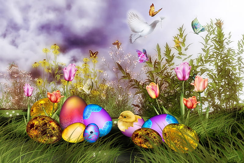 Happy Easter, colorful, chicken, tulipflowers, butterflies, spring, Dove, Easter, bird, eggs, HD wallpaper
