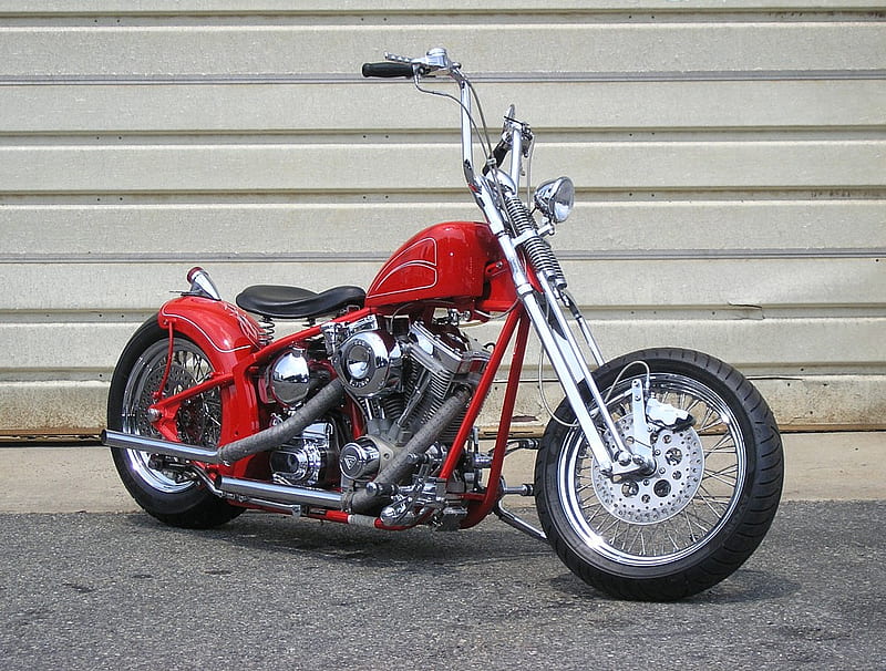 Harley Davidson Softail custom bobber, red, softail, custom, cycle