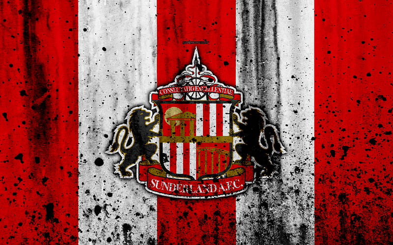 FC Sunderland, grunge, EFL Championship, art, soccer, football club, England, Sunderland, logo, stone texture, Sunderland FC, HD wallpaper