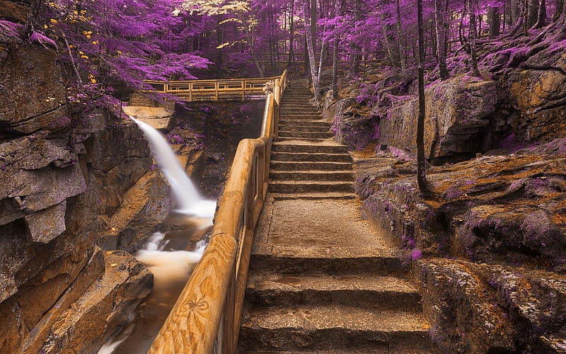 Sabbaday Step Fantasy Falls, New Hampshire, rocks, forest, staircase, USA, flowers, Sabbaday falls, waterfalls, HD wallpaper