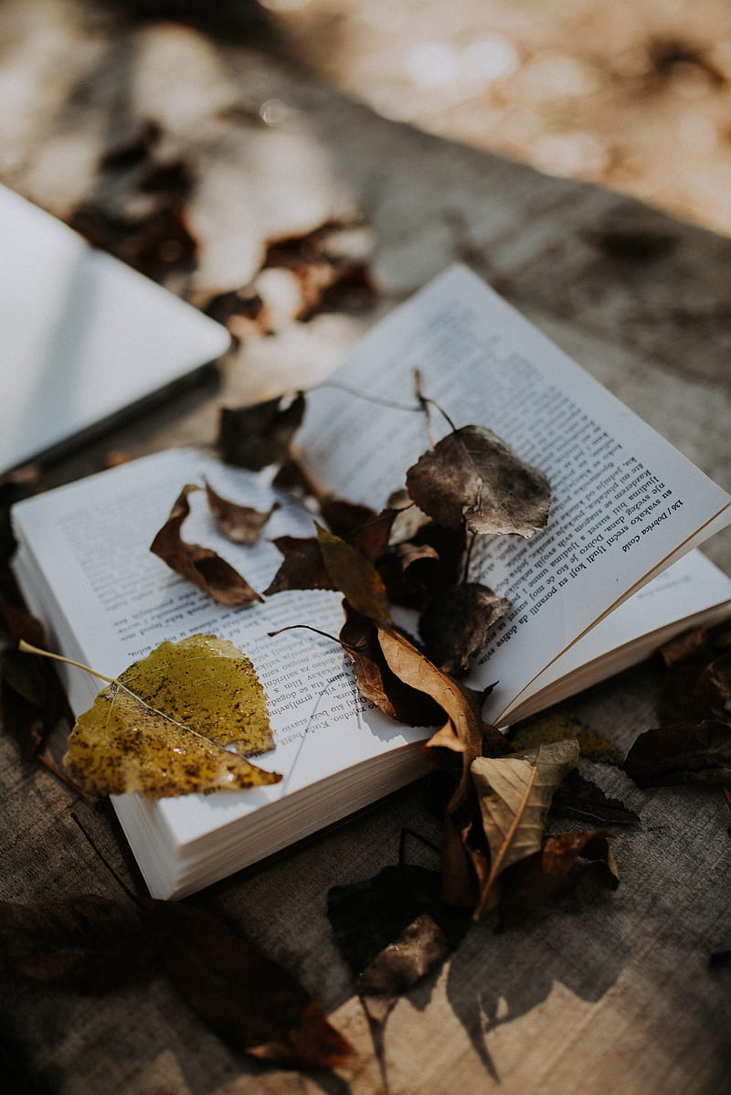 book, leaves, autumn, HD phone wallpaper