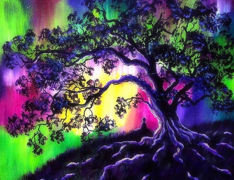 Tree of Life Meditation, northern lights, draw and paint, aurora, love four seasons, attractions in dreams, tree roof, paintings, buddist, nature, meditation, HD wallpaper