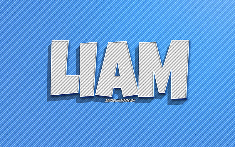 Liam, blue lines background, with names, Liam name, male names, Liam greeting card, line art, with Liam name, HD wallpaper