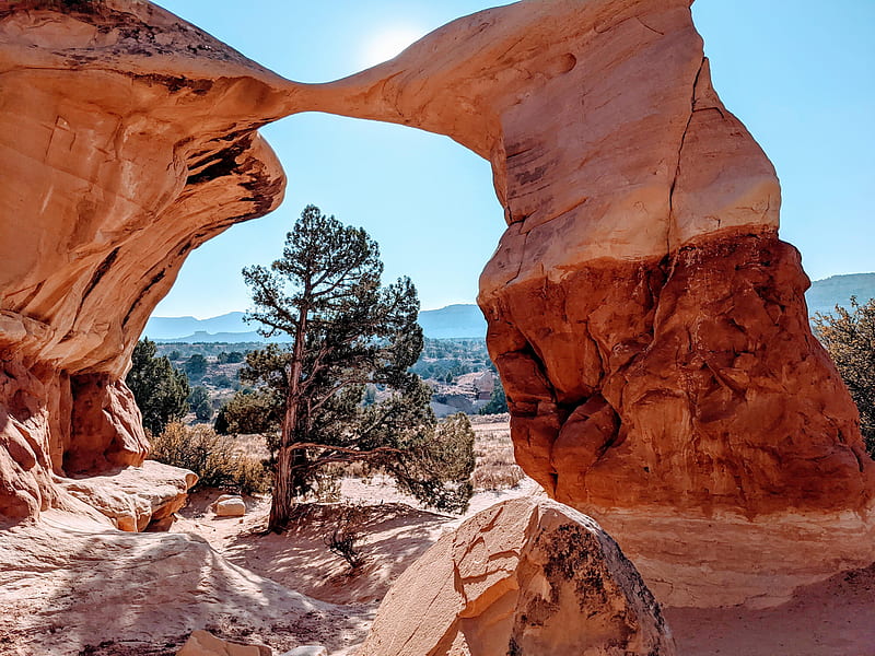 Devil's Garden, Grand Staircase-Escalante National Monument, rocks, arches, canyons, Utah, tree, HD wallpaper