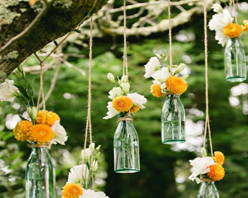 Bottles of Flowers, flowers, tree, hanging, bottles, HD wallpaper