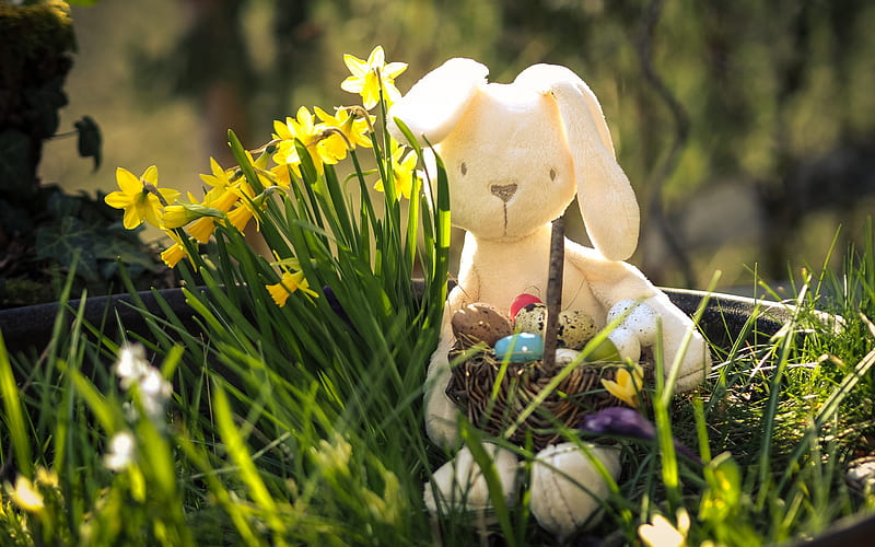 Easter Bunny, Teddy Bunny, spring, easter eggs, rabbit with a basket, Easter, HD wallpaper