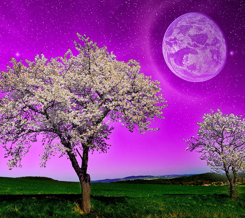 Fantasy Night, fantasy, field, full, moon, night, purple, tree, HD wallpaper