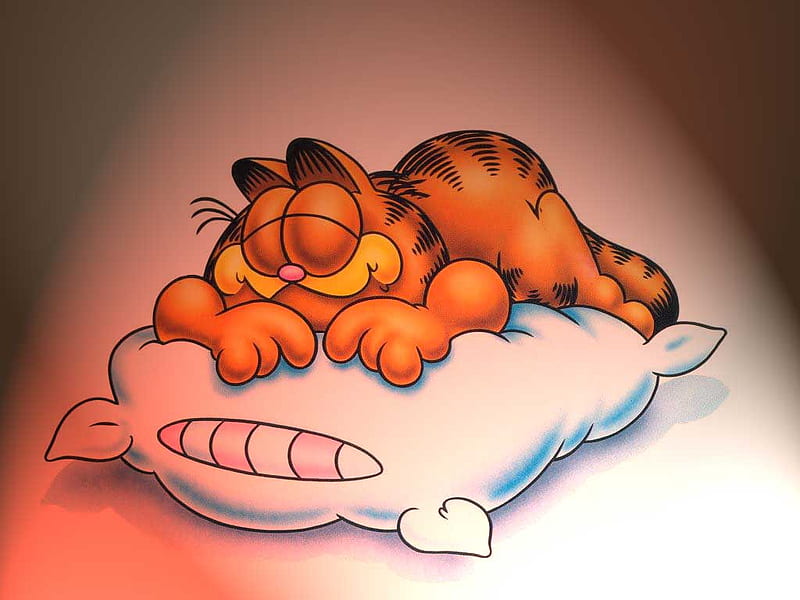 Garfield, dormir, dibujos animados, gato, Fondo de pantalla HD | Peakpx