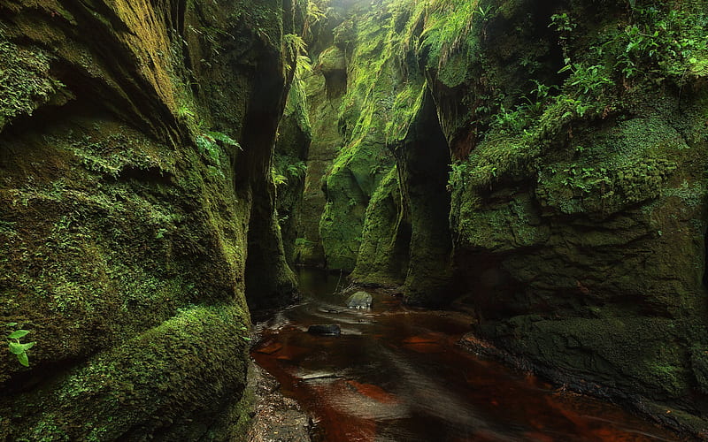 Scotland, rocks, moss, creek, HD wallpaper
