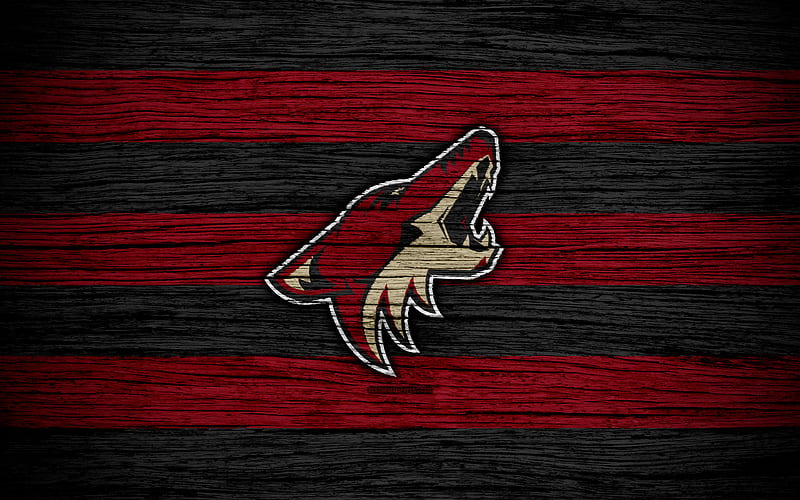 Arizona Coyotes NHL, hockey club, Western Conference, USA, logo, wooden texture, hockey, Pacific Division, HD wallpaper