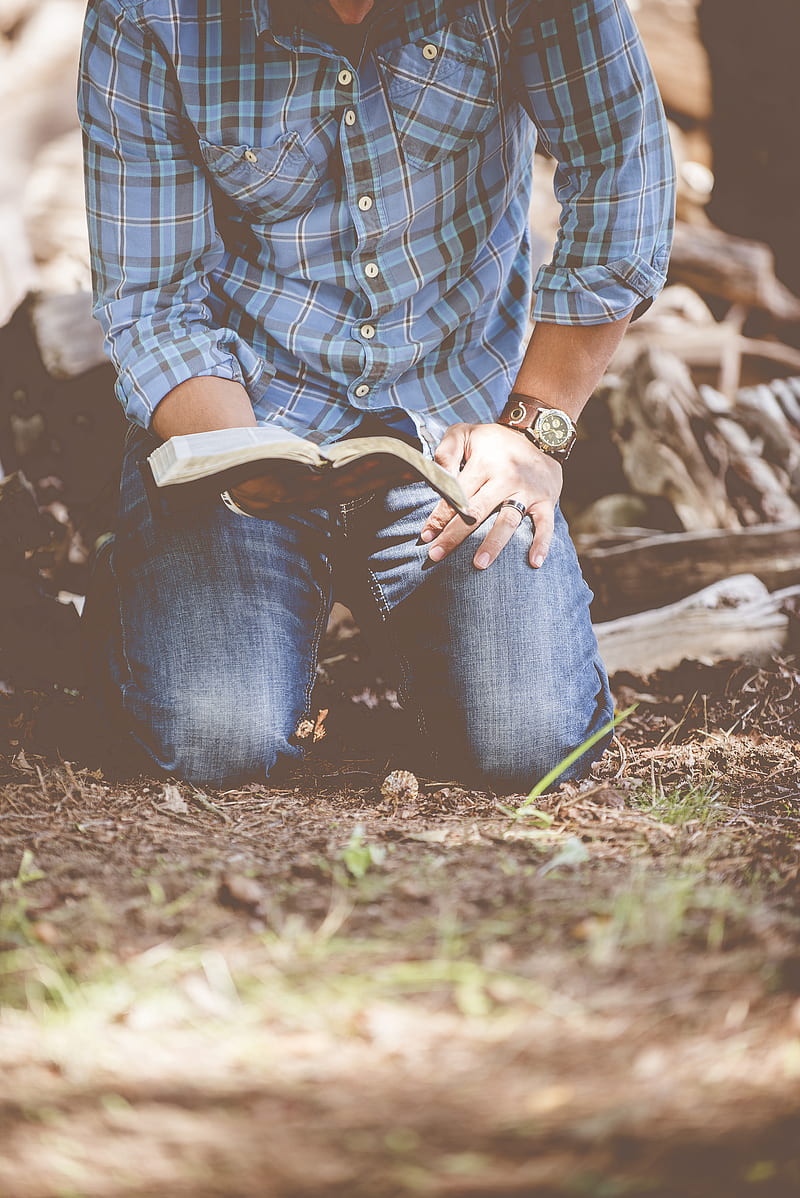 person reading book while kneeling, HD phone wallpaper