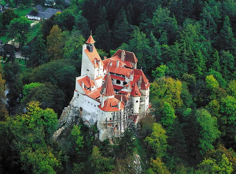 Bran Castle, Romania, Castle, green, Old, Travel, trees, Castles, Romania, Bran Castle, HD wallpaper