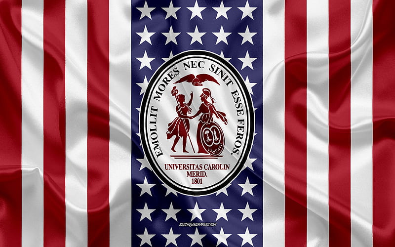 University of South Carolina Emblem, American Flag, University of South Carolina logo, Columbia, South Carolina, USA, University of South Carolina, HD wallpaper